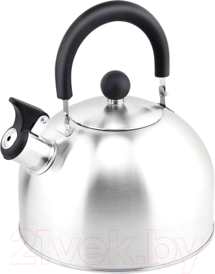 Чайник со свистком Astiat AST1023 - фото