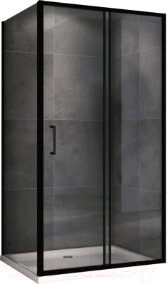 Душевой уголок Abber Schwarzer Diamant AG30140B5-S100B5 - фото