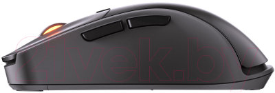 Мышь Cougar Suprassion RX / CGR-SURRX