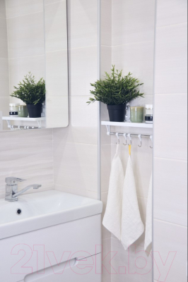 Полка для ванной Swed house Bathroom Shelf With Hooks R5180
