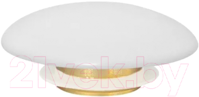 Заглушка для умывальника Abber AC0014MW