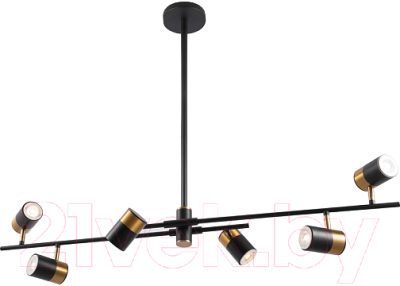 Потолочный светильник Freya Enzo FR5201PL-06B - фото