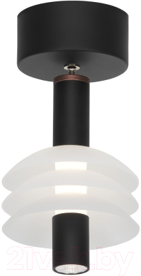 Потолочный светильник Citilux CL202011