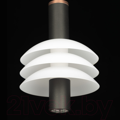 Потолочный светильник Citilux CL202011