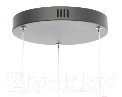 Потолочный светильник Citilux CL202031