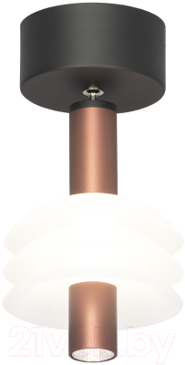 Потолочный светильник Citilux CL202012