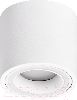 Точечный светильник ЭРА OL47 WH MR16 / Б0059795 - фото