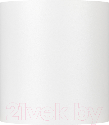 Точечный светильник ЭРА OL47 WH MR16 / Б0059795