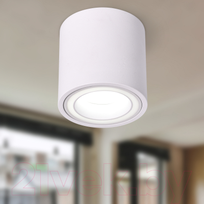 Точечный светильник ЭРА OL47 WH MR16 / Б0059795