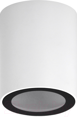 Точечный светильник ЭРА OL48 WH/BK MR16 / Б0059799 - фото