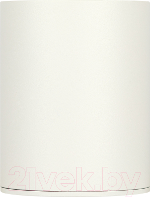 Точечный светильник ЭРА OL48 WH/BK MR16 / Б0059799