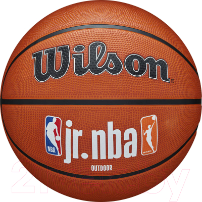 Баскетбольный мяч Wilson Jr Nba Authentic Outdoor / WZ3011801XB6 - фото