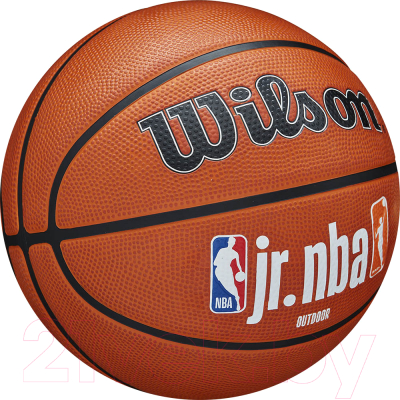 Баскетбольный мяч Wilson Jr Nba Authentic Outdoor / WZ3011801XB6