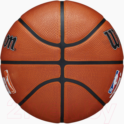 Баскетбольный мяч Wilson Jr Nba Authentic Outdoor / WZ3011801XB6