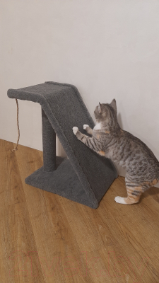 Когтеточка Bast Трап 50