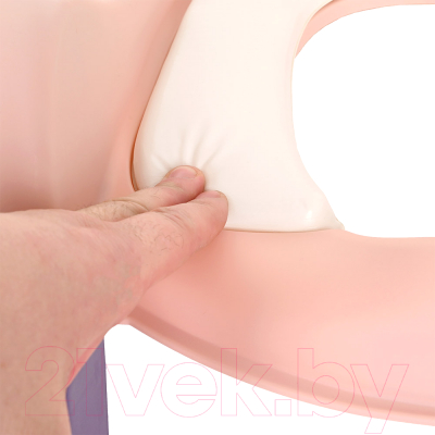 Детская накладка на унитаз Pituso 16010