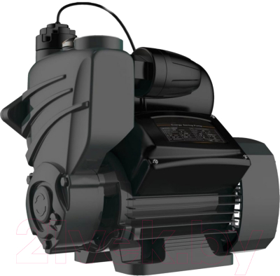 Насосная станция Pumpman TWE550 - фото