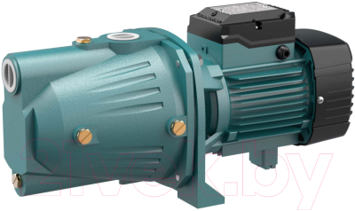 Поверхностный насос Grandfar JSLm100(GR) - фото