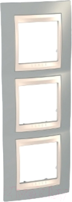 Рамка для выключателей и розеток Schneider Electric MGU6.006V.565 - фото