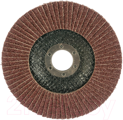 Набор шлифовальных кругов Targ 663404.21 (5шт) - фото