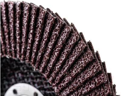 Набор шлифовальных кругов Targ 663404.21 (5шт)