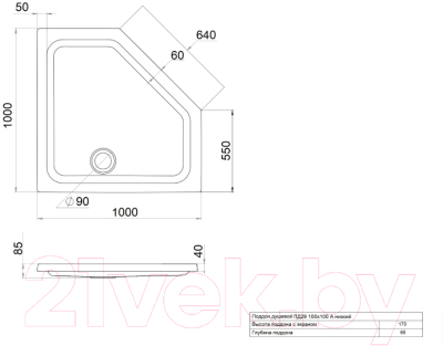 Душевой поддон Triton ПД29 ДК 100x100