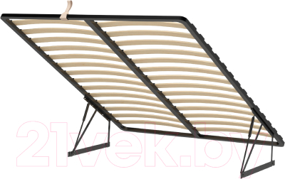 Двуспальная кровать Аквилон Тэфи-1 16 ПМ