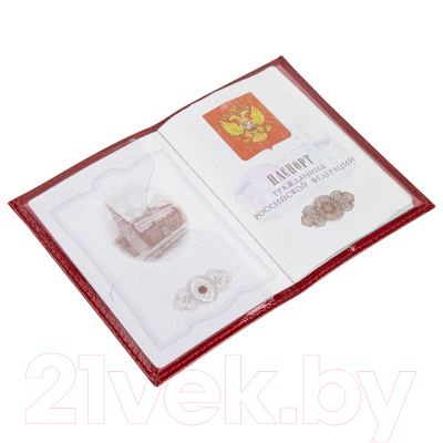 Обложка на паспорт Brauberg Impression / 238211