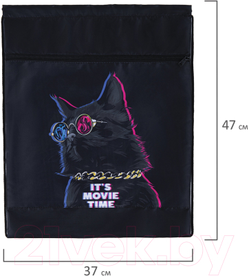 Мешок для обуви Brauberg Movie Time / 270910