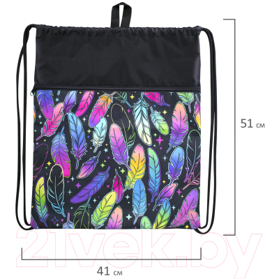 Мешок для обуви Brauberg Feathers / 271057