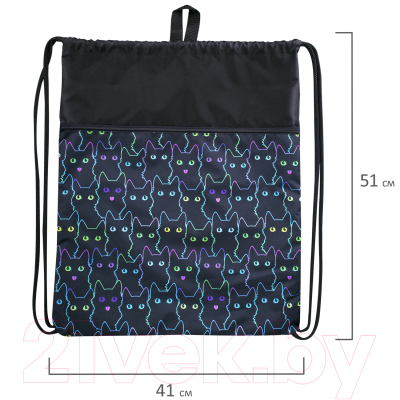 Мешок для обуви Brauberg Cats / 271059