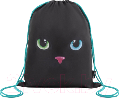 Набор для школы Brauberg Black Cat / 271434