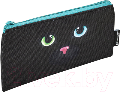 Набор для школы Brauberg Black Cat / 271434