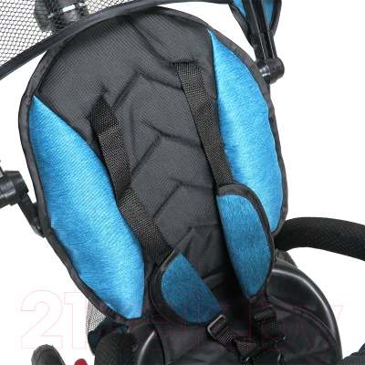 Трехколесный велосипед с ручкой Maxiscoo Shark 2023 / MSC-TCL2303BL