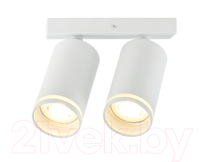 Спот Imex IL.0005.2001-2 WH