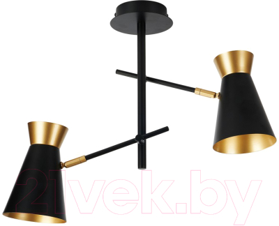 Потолочный светильник Imex MD.78853-2-S BK+FGD - фото