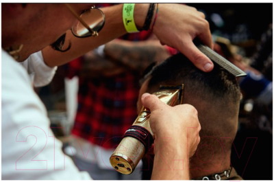 Машинка для стрижки волос BaByliss Pro GoldFX Digital FX8700GE