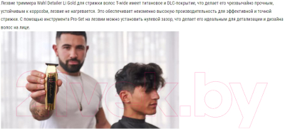 Триммер Wahl Detailer Cordless / 8171-716 (золото)