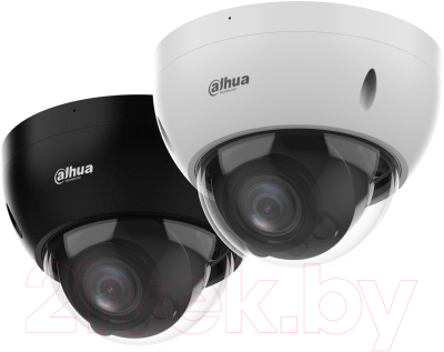 IP-камера Dahua DH-IPC-HDBW2441RP-ZS