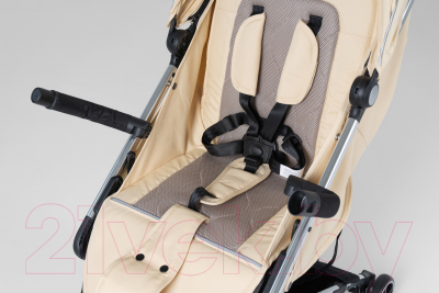 Детская прогулочная коляска Farfello Bliss Pro / BLP-2