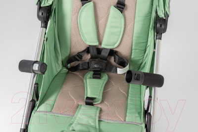 Детская прогулочная коляска Farfello Bliss Pro / BLP-3