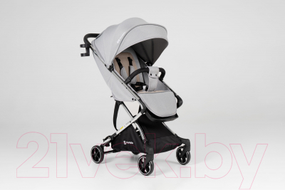 Детская прогулочная коляска Farfello Bliss Pro / BLP-1