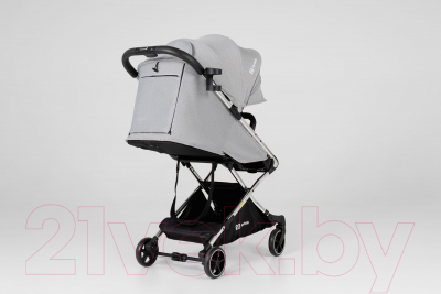 Детская прогулочная коляска Farfello Bliss Pro / BLP-1