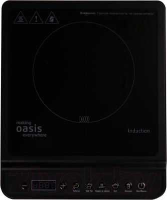 Электрическая настольная плита Making Oasis Everywhere PI-B3S - фото