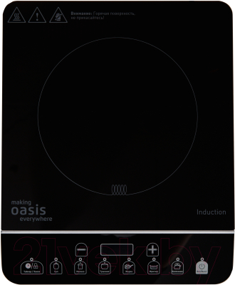 Электрическая настольная плита Making Oasis Everywhere PI-BS3S - фото