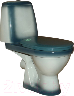 Унитаз напольный Rosa Премьер - фото