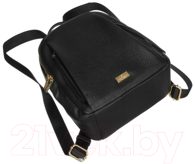 Рюкзак Peterson PTN ALP-22168 (черный)