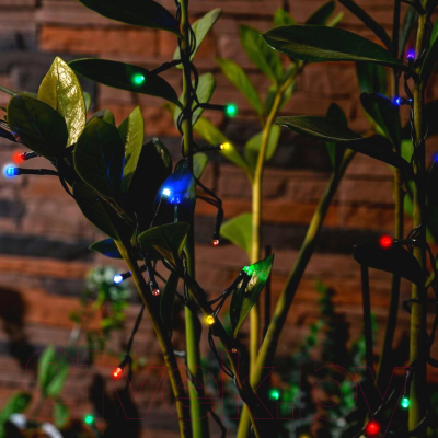 Садовая гирлянда Uniel Special USL-S-122/PT5000 / 05306