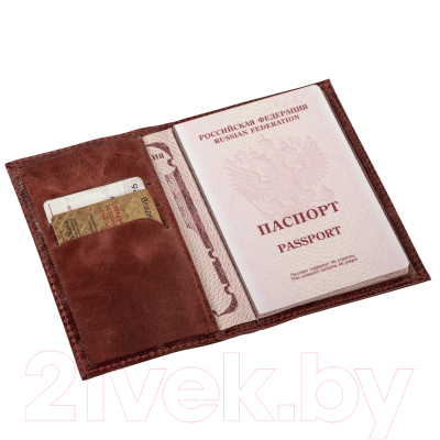 Обложка на паспорт Brauberg Passport / 238197