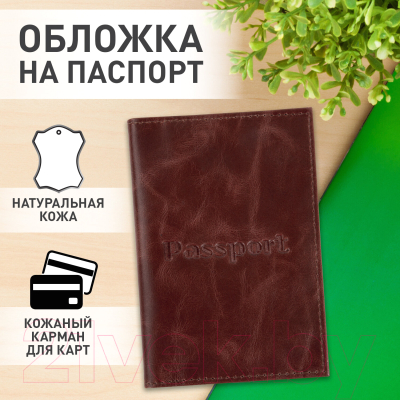 Обложка на паспорт Brauberg Passport / 238197